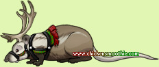 Pet