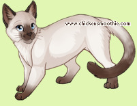 Pet
