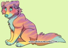 Pet