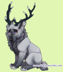 Pet