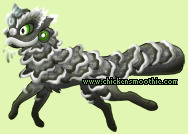 Pet