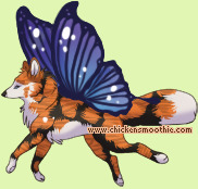 Pet