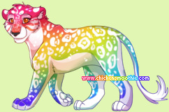 Pet