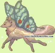 Pet