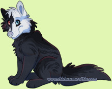 Pet