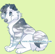 Pet