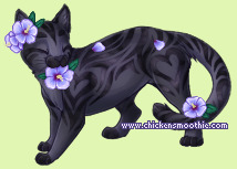 Pet