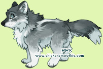 Pet