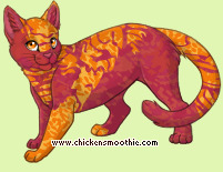 Pet