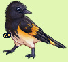 Pet