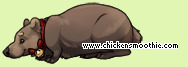 Pet