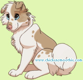 Pet