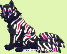 Pet