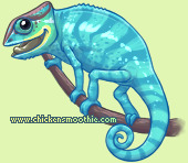 Pet