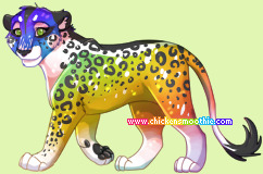 Pet