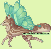 Pet