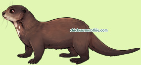 Pet
