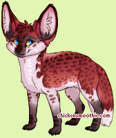 Pet