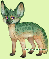 Pet