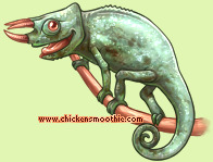 Pet