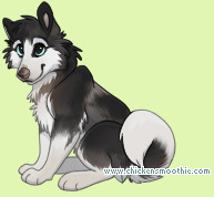 Pet