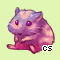 Pet