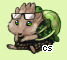 Pet
