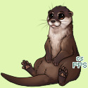 Pet