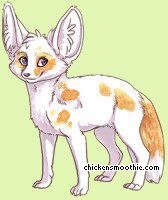 Pet