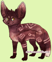Pet