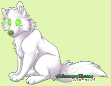 Pet