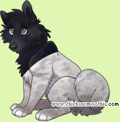 Pet