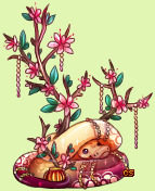 Pet