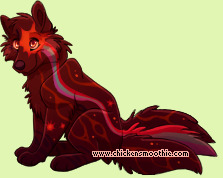 Pet