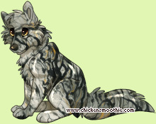 Pet