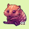Pet