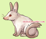 Pet