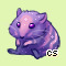 Pet