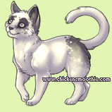 Pet