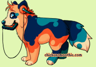 Pet