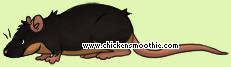 Pet