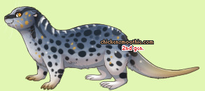 Pet