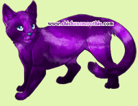Pet