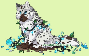 Pet
