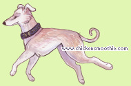 Pet