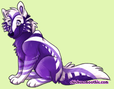 Pet