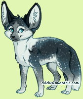 Pet
