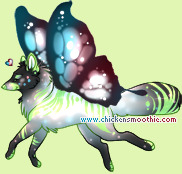 Pet