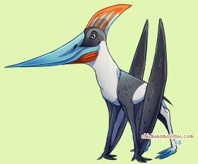 Pet