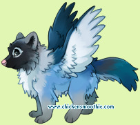 Pet